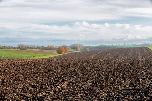 Autumn on rolling fields by Hanneke Luit