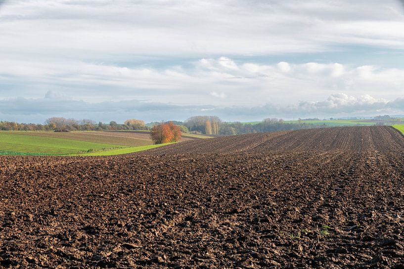 Automne sur les champs vallonnés par Hanneke Luit