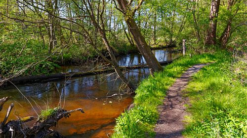 Lüneburger Heide - Le printemps sur la romantique Örtze I sur Gisela Scheffbuch