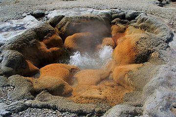 Hot pool, Yellowstone, USA van Jos Hug