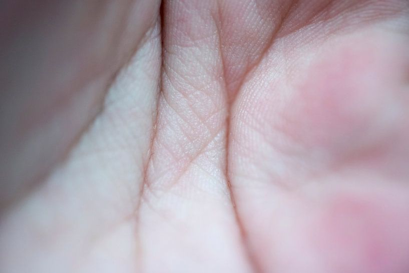 Linien in der Hand von Tessa Wassenberg