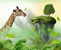 Photoshop: Giraffenkunst