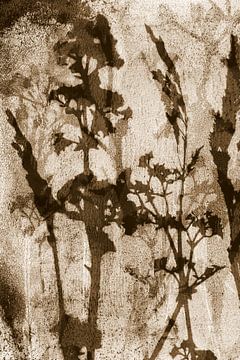 Abstrait Retro Botanique. Fleurs, plantes et feuilles en brun sur Dina Dankers