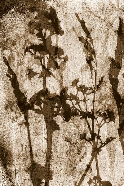 Abstrakte Retro-Botanik. Blumen, Pflanzen und Blätter in braun von Dina Dankers