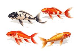 verschiedene Kois isoliert auf weißem Hintergrund, Ausschnitt