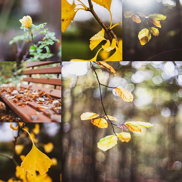 Collage d'automne par Sonja Tessen