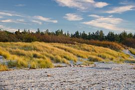 Op het Oostzeestrand met duinen van Martin Köbsch