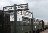 Dampfzug