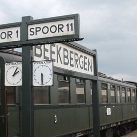 Train à vapeur sur Eveline van Vuren
