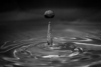 Drop 5