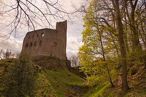 Ruine Spesbourg im Elsass