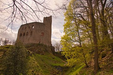 Ruine Spesbourg im Elsass von Tanja Voigt