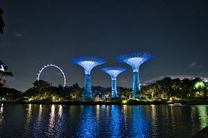 Superbäume im Silbergarten