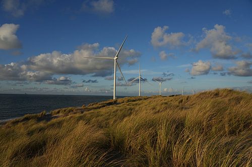 Rotterdam Maasvlakte