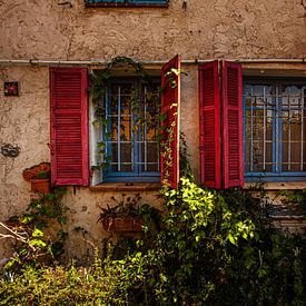 Fenster oder Blumen von Christiaan Sauer