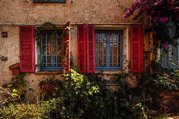 Fenster oder Blumen