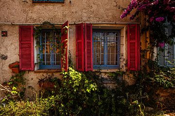 Fenster oder Blumen von Christiaan Sauer