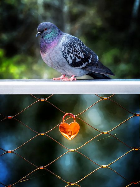 Dove with a golden heart by Leopold Brix