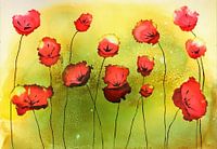 Poppy in alcohol