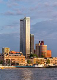 Skyline Kop van Zuid Deloitte by Nicolette Eekhof