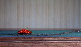 SL-358 Rosehip mandrel by Hay Hermans