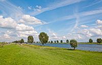 Typische holländische Landschaft auf dem Fluss von Ruud Morijn Miniaturansicht