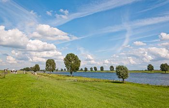 Uitzicht over het landschap bij de Bergsche Maas