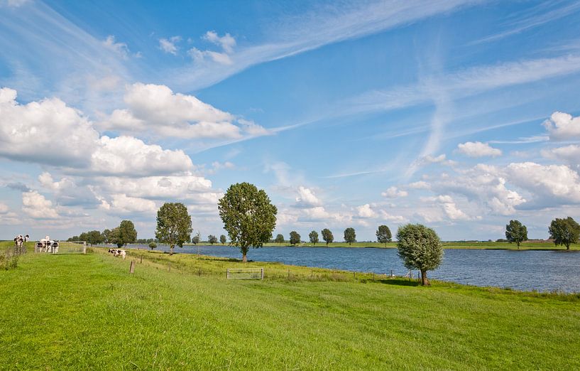 Typische holländische Landschaft auf dem Fluss von Ruud Morijn