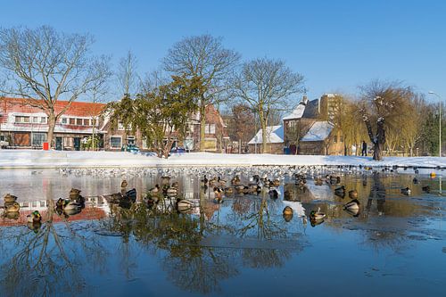 Vijver park Meezenbroek in de winter