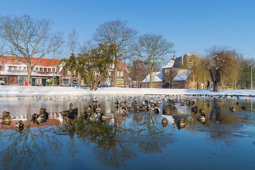 Vijver park Meezenbroek in de winter van Francois Debets