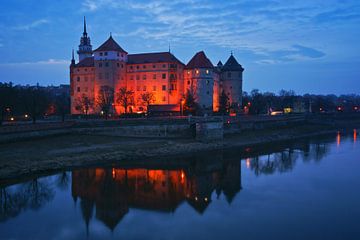 Hartenfels Castle, Torgau van Gunter Kirsch