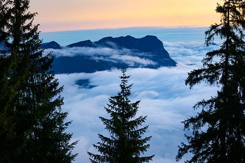 Bergen in een zee van mist