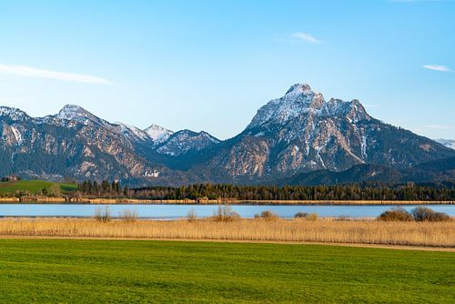 Zonnig uitzicht op de Hopfensee, kasteel Neuschwanstein en de berg Säuling