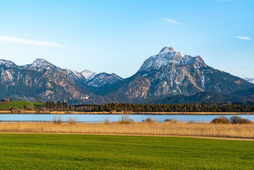 Sunny view of the Hopfensee lake, Neuschwanstein castle and the Säuling mountain by Leo Schindzielorz
