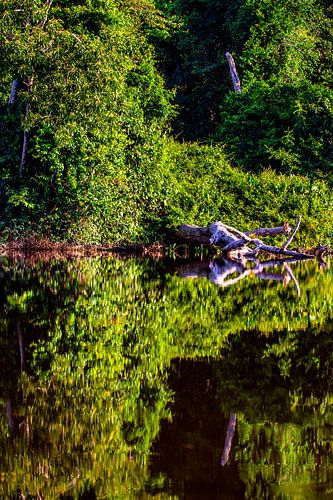 Paloemeu (sometimes spelled Palumeu) is an indigenous village .