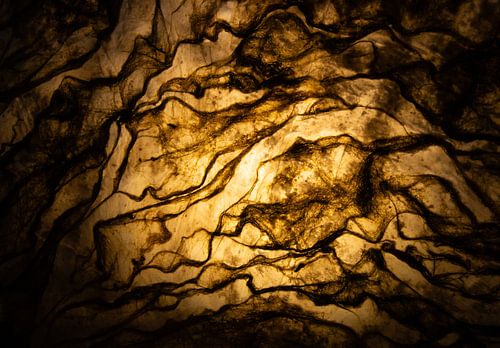 Alg artwork | detail