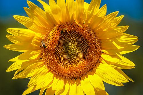 Les couleurs de la France 3