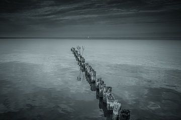 Paaltjes leiden je het ijsselmeer op