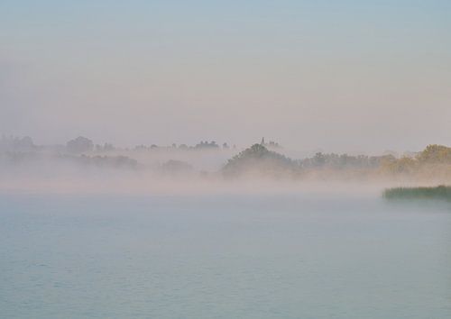 Fog over the lake