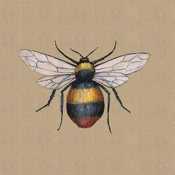 Bumblebee by Bianca Wisseloo