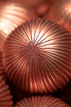 Copper colored bauble by Christa Stroo photography