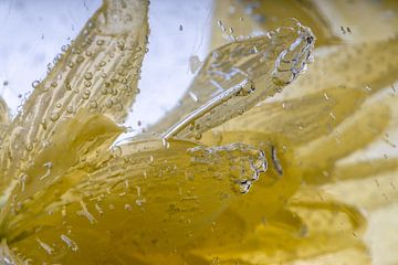 Gele chrysant met ijsstructuren van Marc Heiligenstein