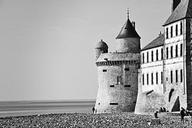 Castle by Jerke Taeymans