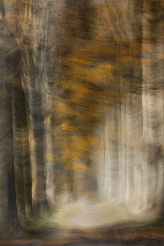 Herfst