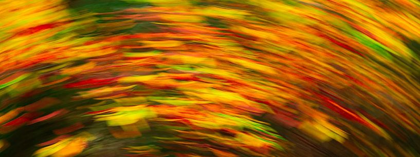 Abstract rainbow of fiery autumn colours (ICM photography) by Fotografie Jeronimo