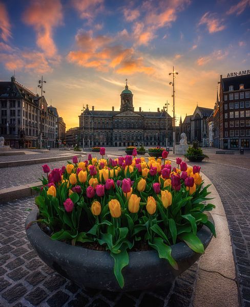 Tulips from Amsterdam by Photo Wall Decoration
