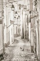 Street in Evora