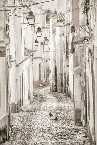 Street in Evora by Lars van de Goor