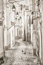 Street in Evora by Lars van de Goor thumbnail