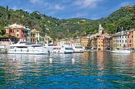 Portofino, Italiaanse Riviera, Ligurië, Italië van Peter Eckert thumbnail